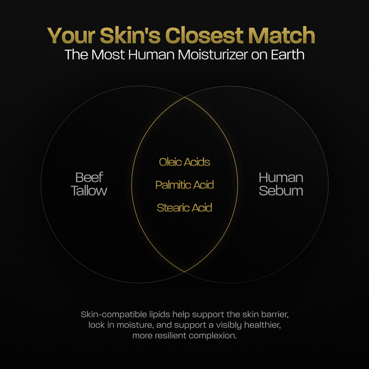 Tallow Moisturizer